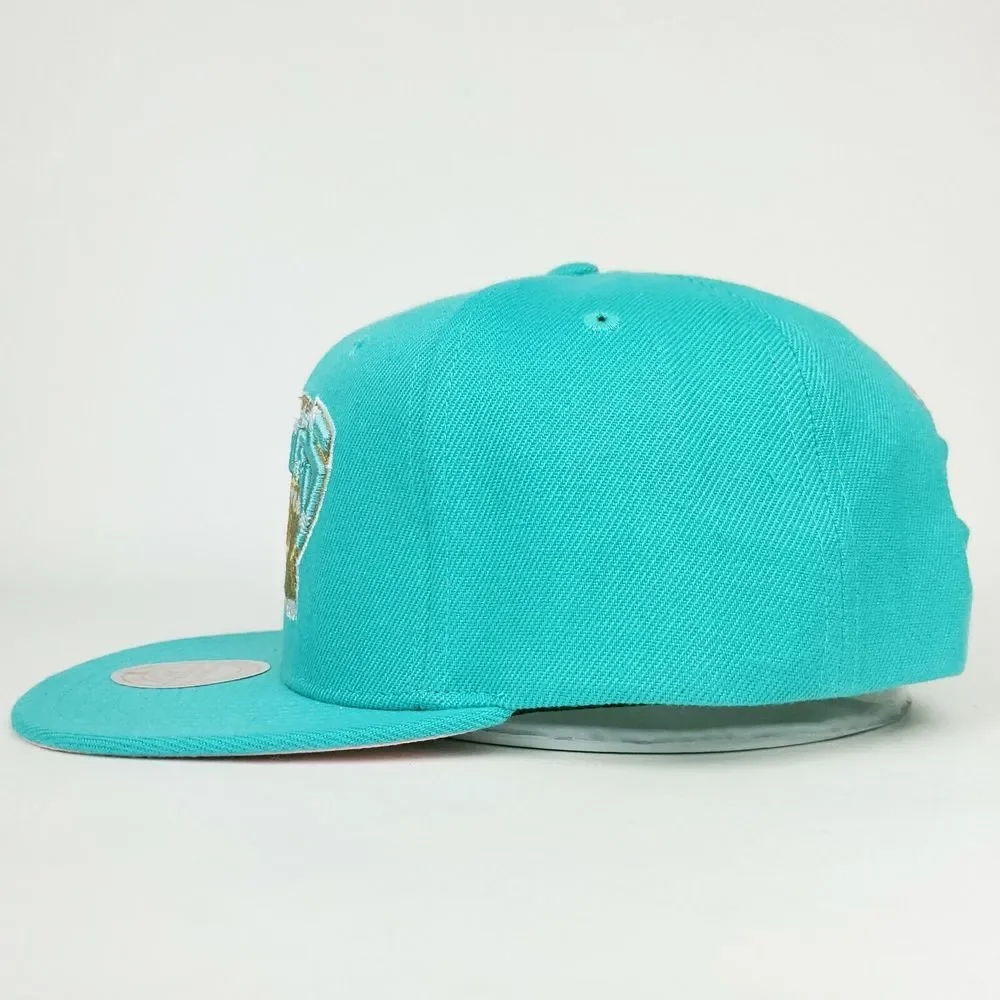 Vancouver Grizzlies Mitchell & Ness Snapback Hat Cap 3D Logo Side Logo Teal NWT‎